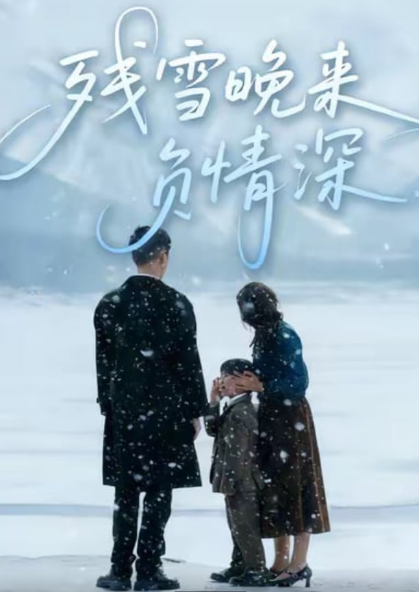 残雪晚来负情深封面