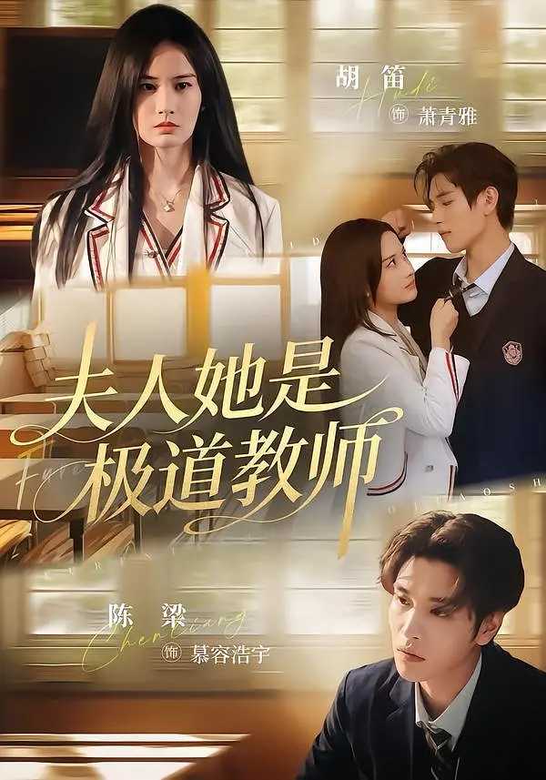 夫人她是极道教师封面