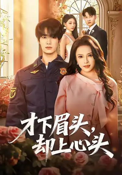 才下眉头，却上心头封面