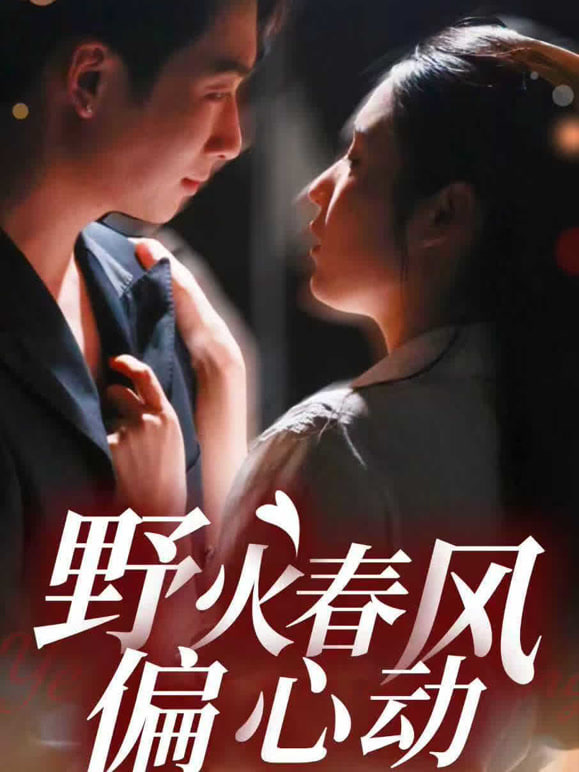 野火春风偏心动封面