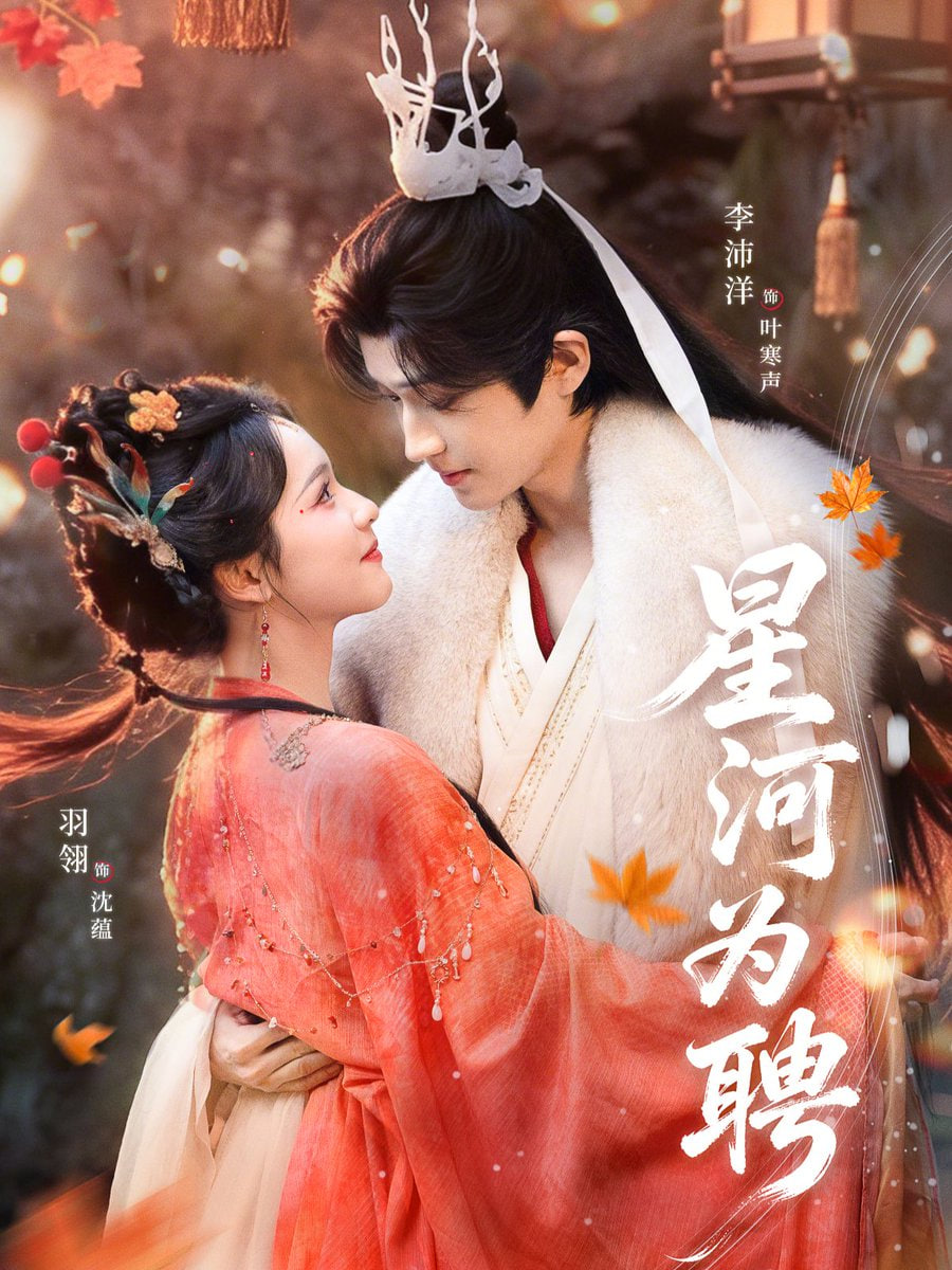 星河为聘封面