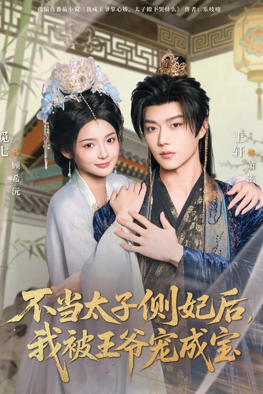 不当太子侧妃后，我被王爷宠成宝封面