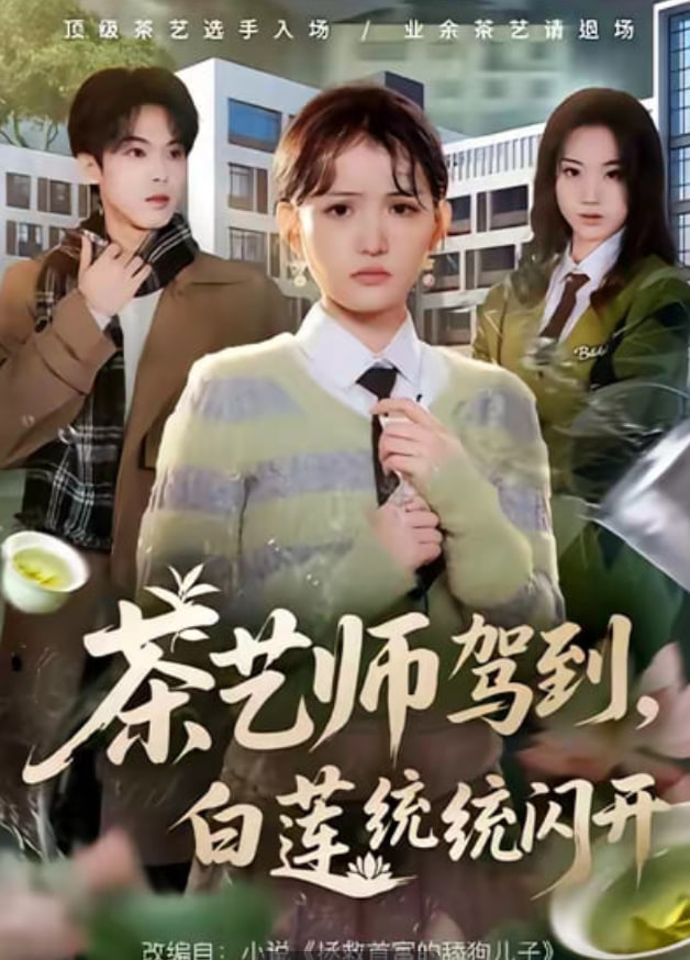 茶艺师驾到白莲统统闪开封面