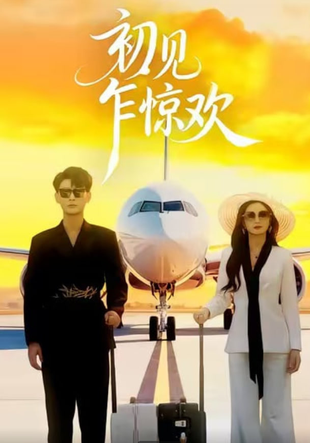初见乍惊欢封面