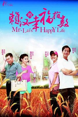 赖汉的幸福指数封面