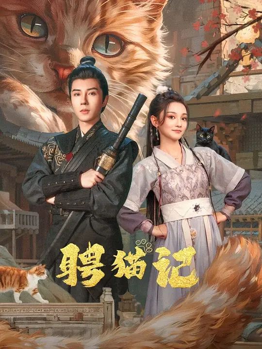 聘猫记封面