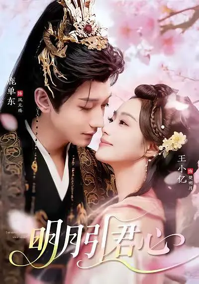 明月引君心封面
