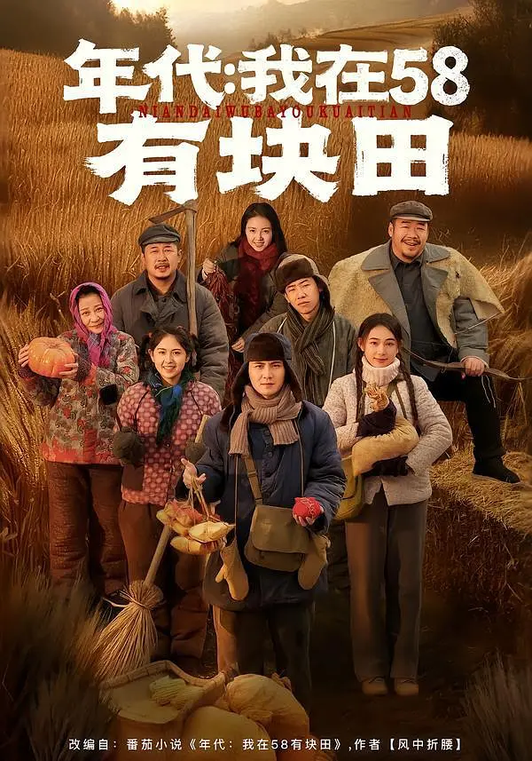 年代我在58有块田封面