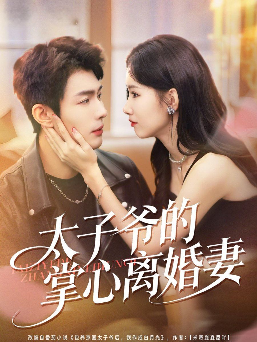 太子爷的掌心离婚妻封面