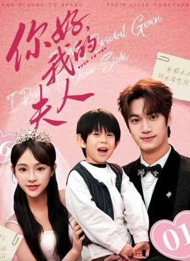 顾总，我才是你的夫人（你好，我的夫人）封面