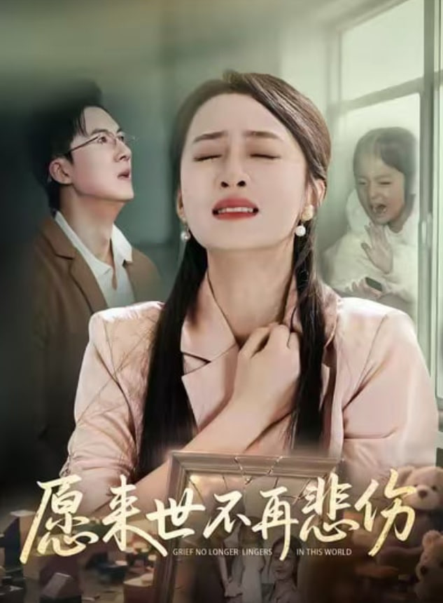 愿来世不再悲伤封面