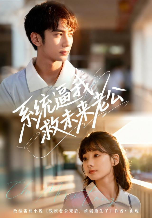 系统逼我救未来老公封面