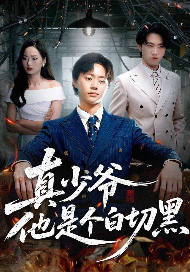 真少爷他是个白切黑封面
