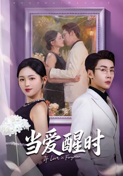 当爱醒时（爱在等风不等你）封面