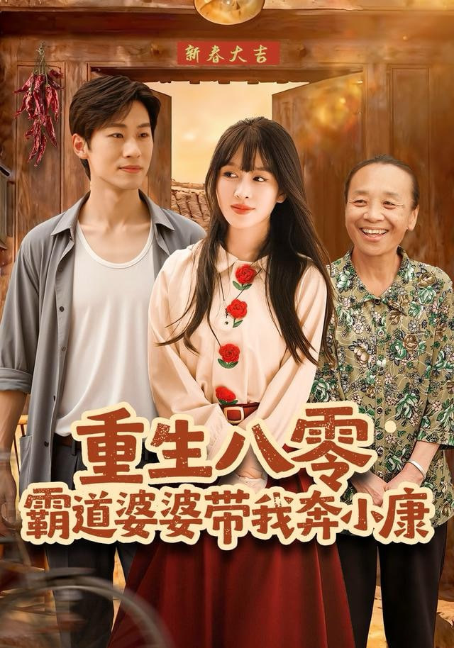 重生八零霸道婆婆带我奔小康封面