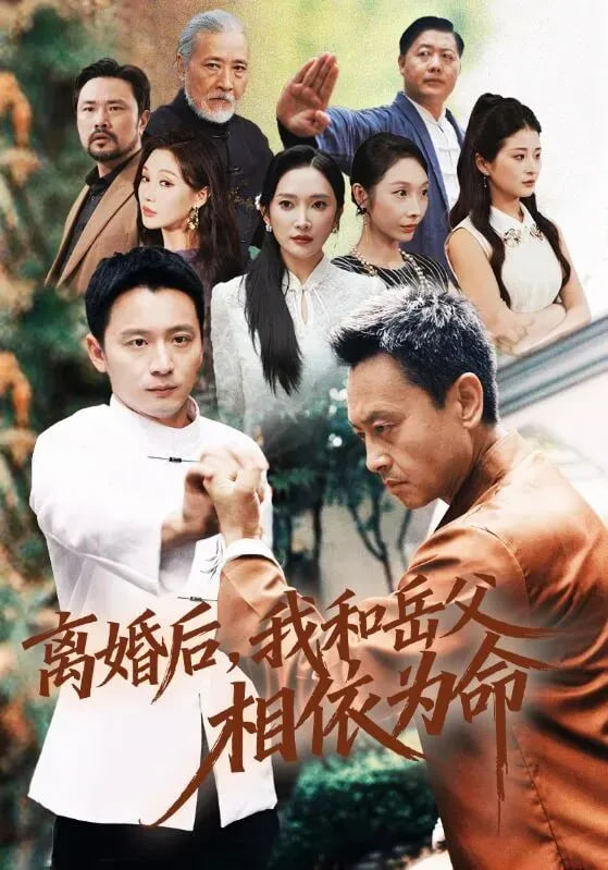 离婚后我和岳父相依为命封面