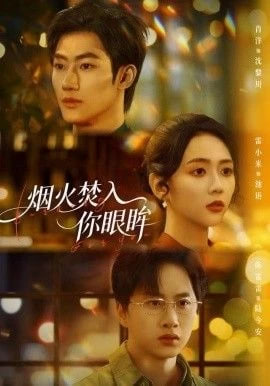 烟火焚入你眼眸封面