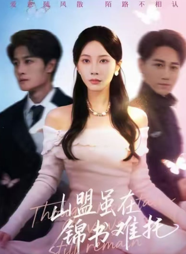 山盟虽在锦书难托（不值得的爱早该格式化）封面