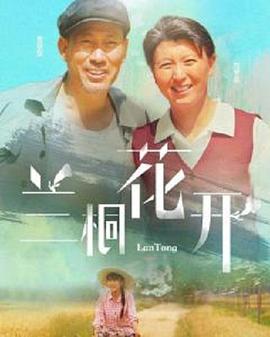 兰桐花开封面
