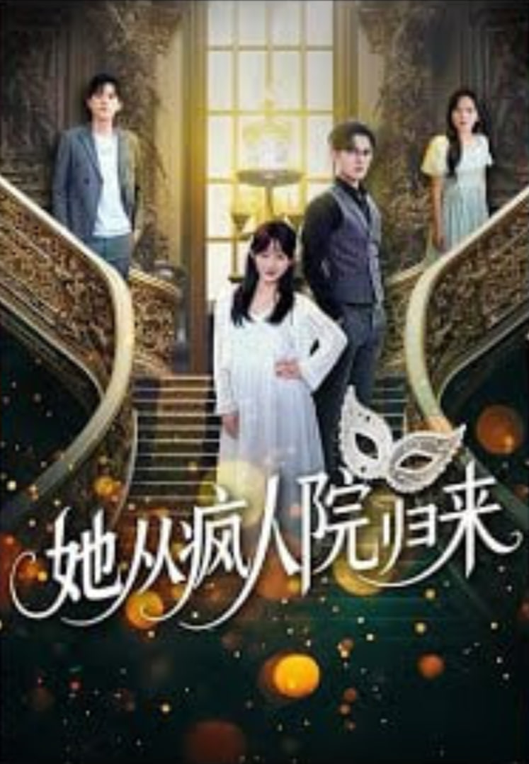 她从疯人院归来封面