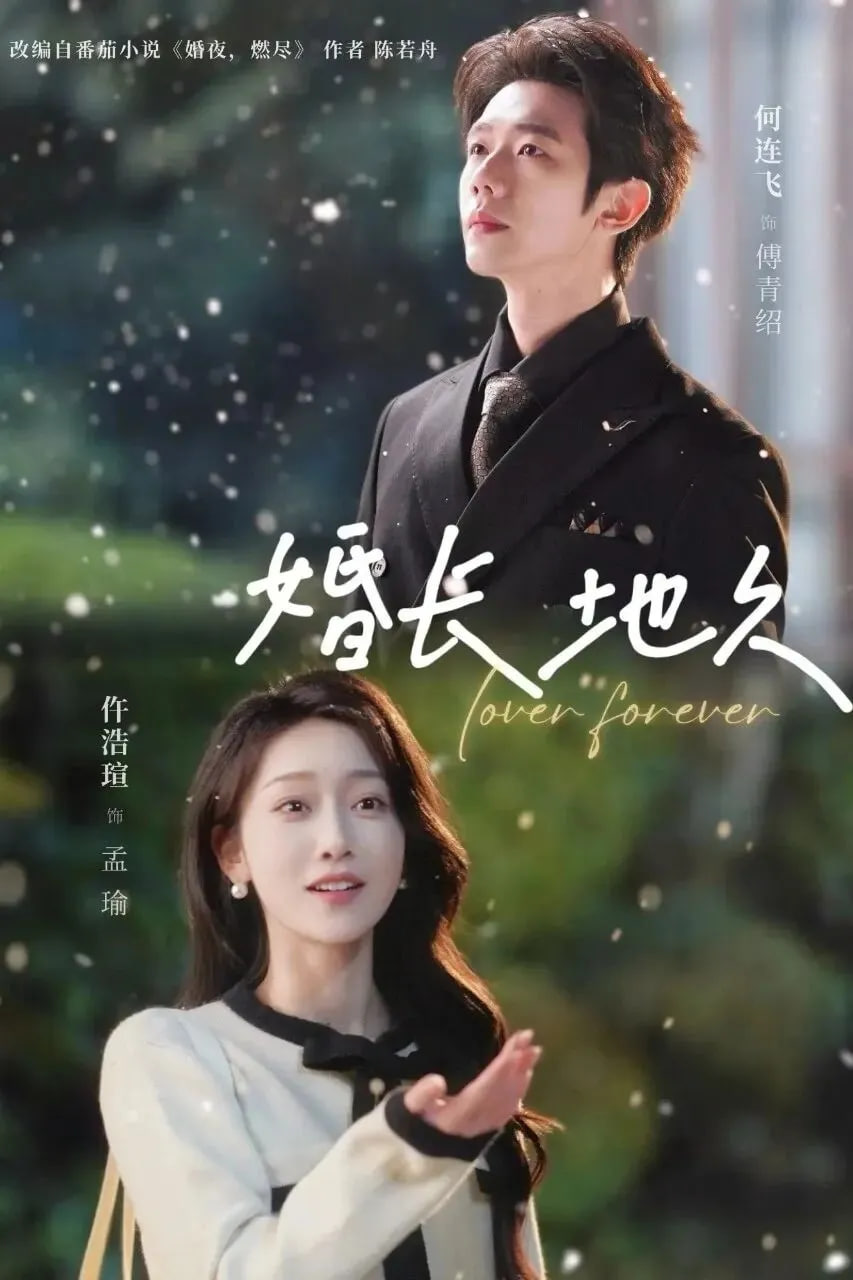 婚长地久封面