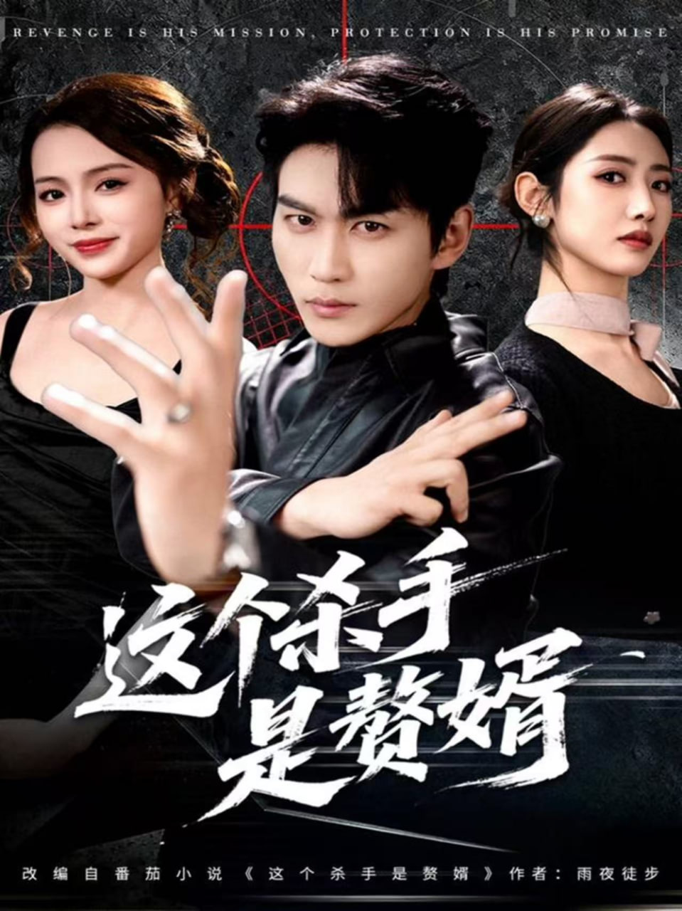 这个杀手是赘婿封面