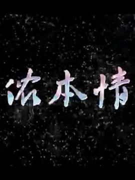 侬本情封面