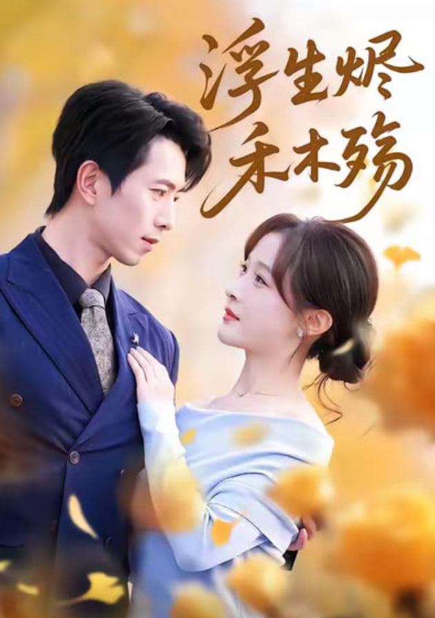 浮生烬禾木殇（雾漫青衫沾白露）封面