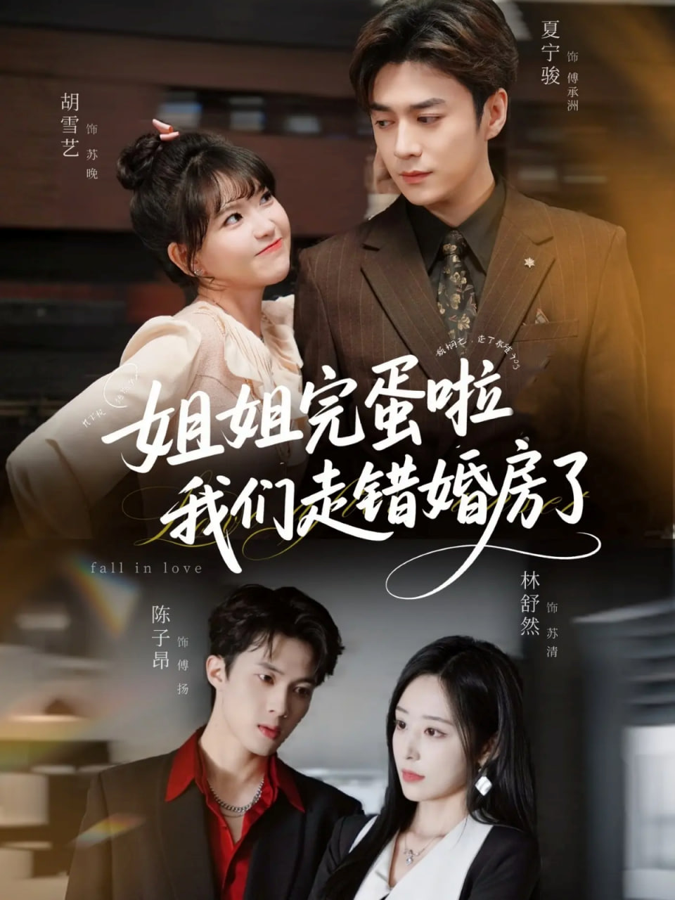 姐姐完蛋啦我们走错婚房了封面