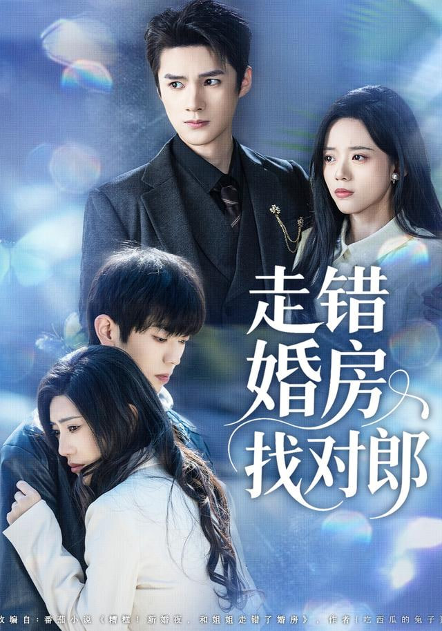 走错婚房找对郎封面