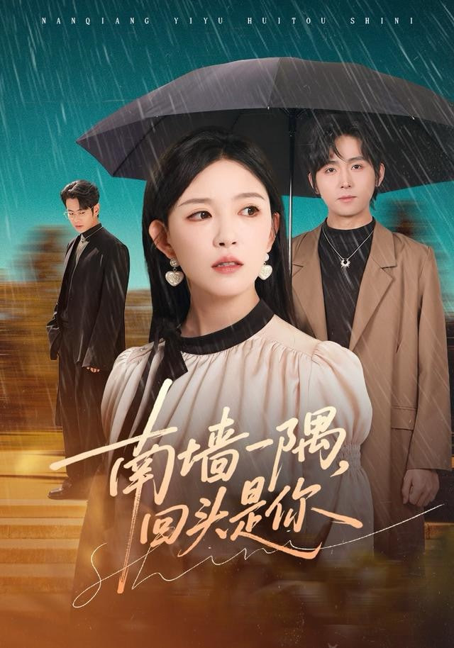 南墙一隅，回头是你封面