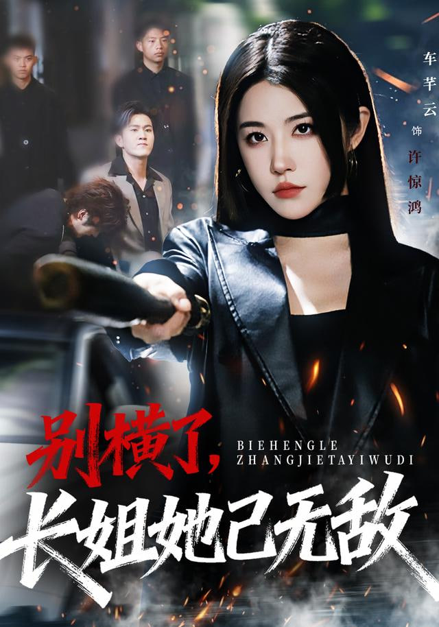 别横了长姐她已无敌封面