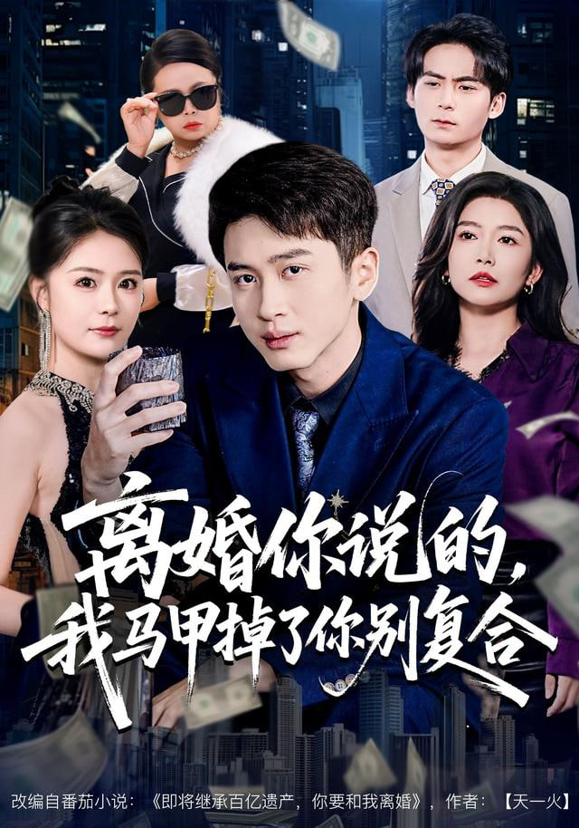 离婚你说的，我马甲掉了你别复合封面