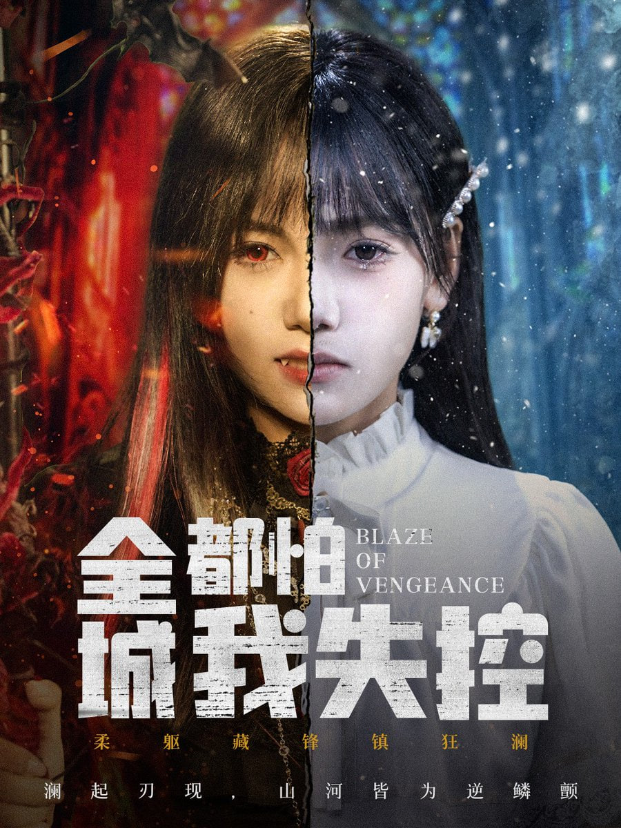 全城都怕我失控（恶媳的愤怒）封面