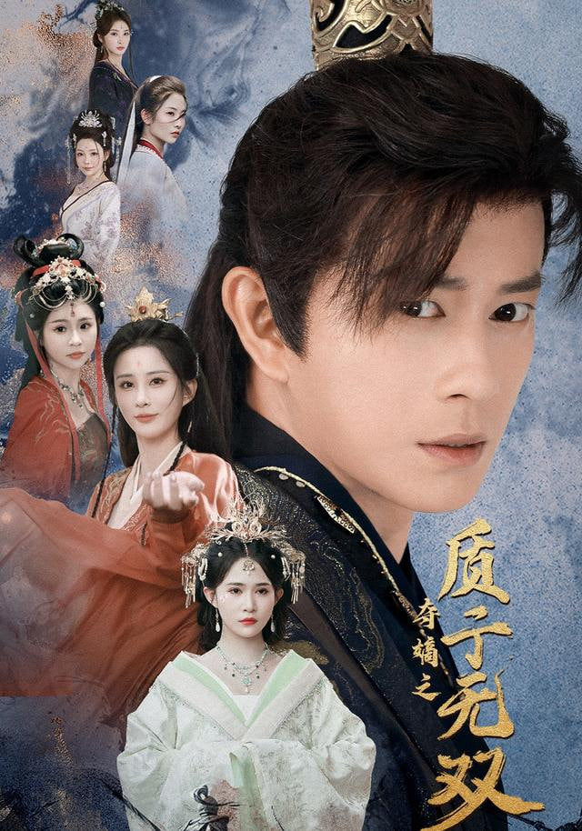 夺嫡之质子无双封面
