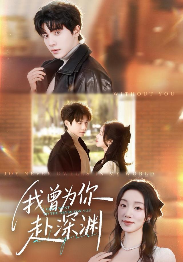 我曾为你赴深渊封面