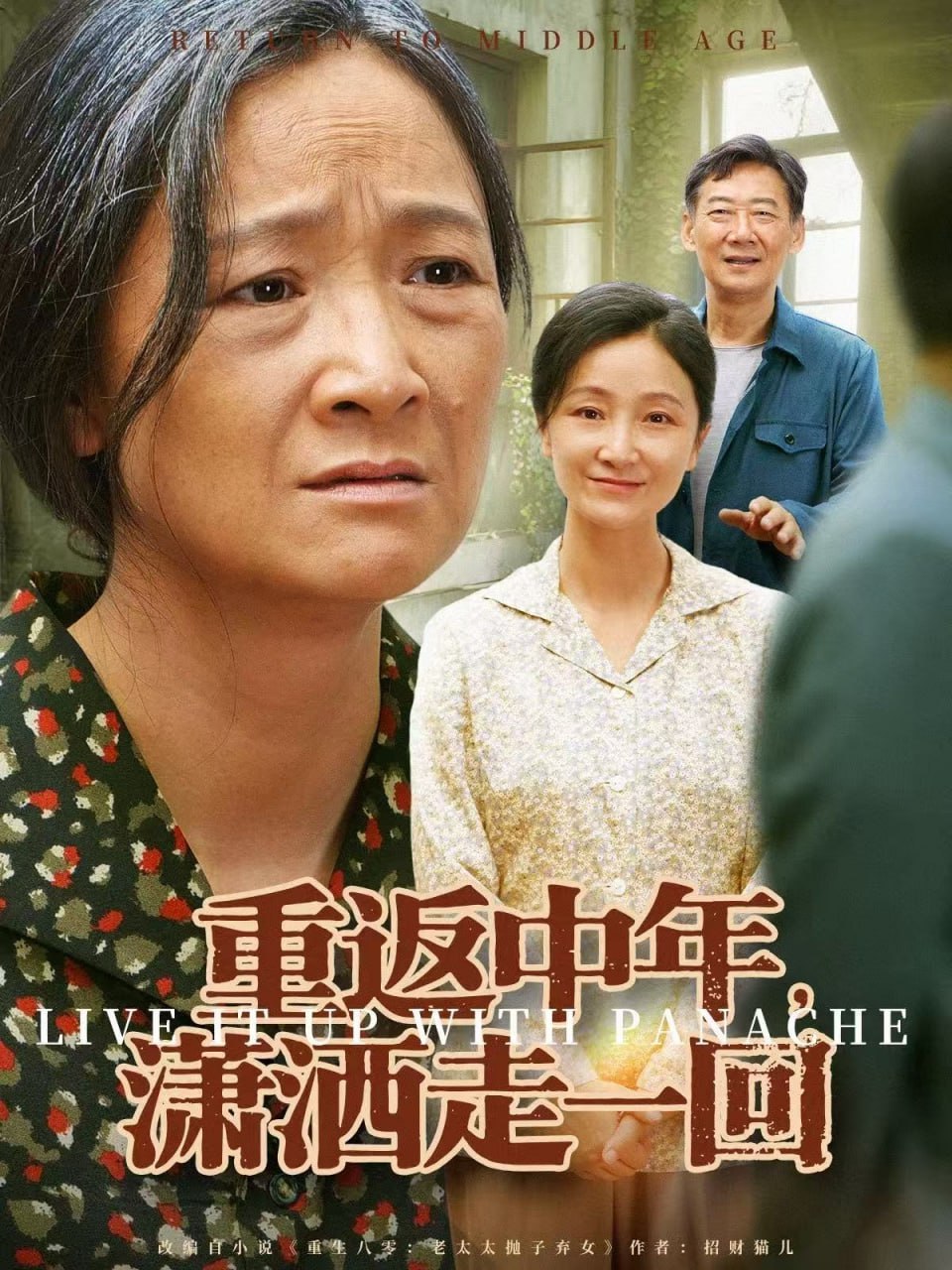重返中年，潇洒走一回封面