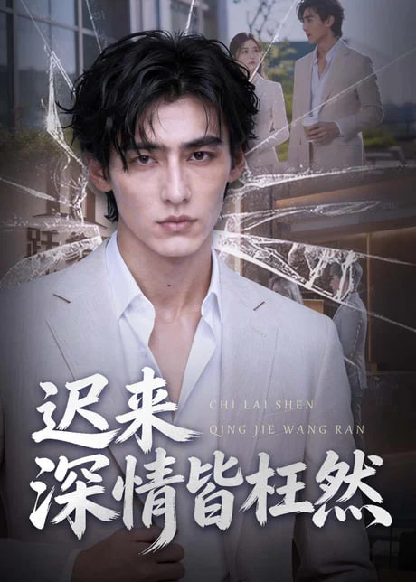 迟来深情皆枉然封面