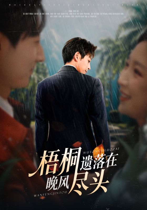 梧桐遗落在晚风尽头（棠花不识旧时月）封面