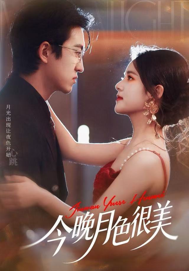 今晚月色很美封面