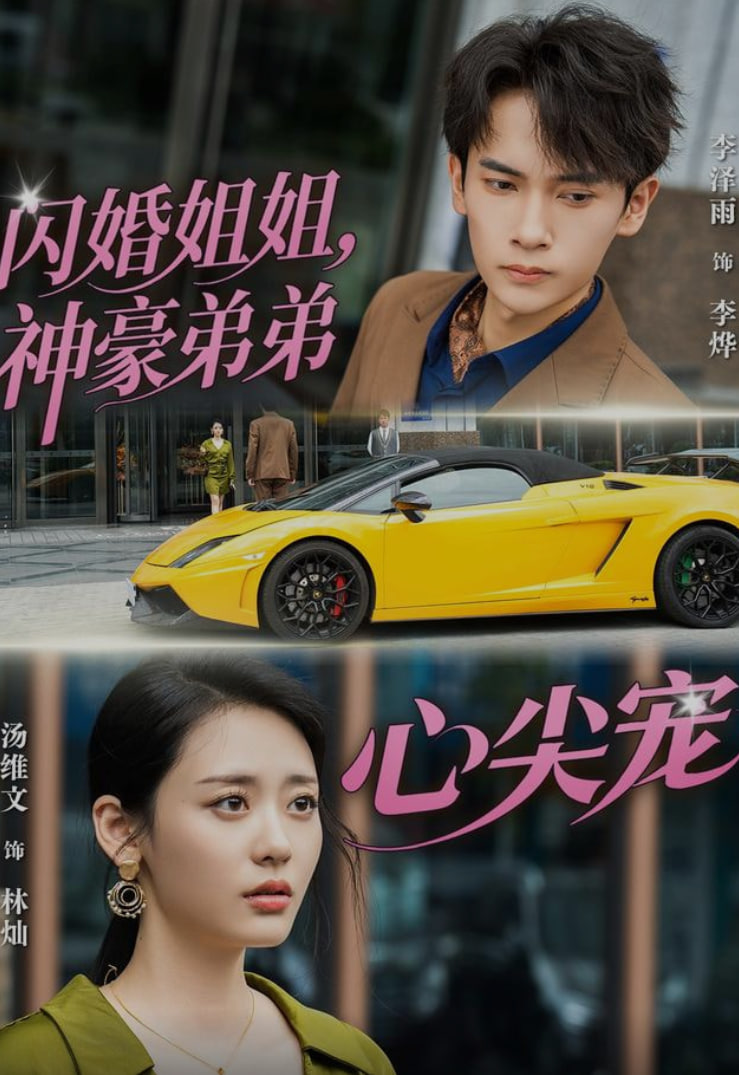 闪婚姐姐，神豪弟弟心尖宠封面