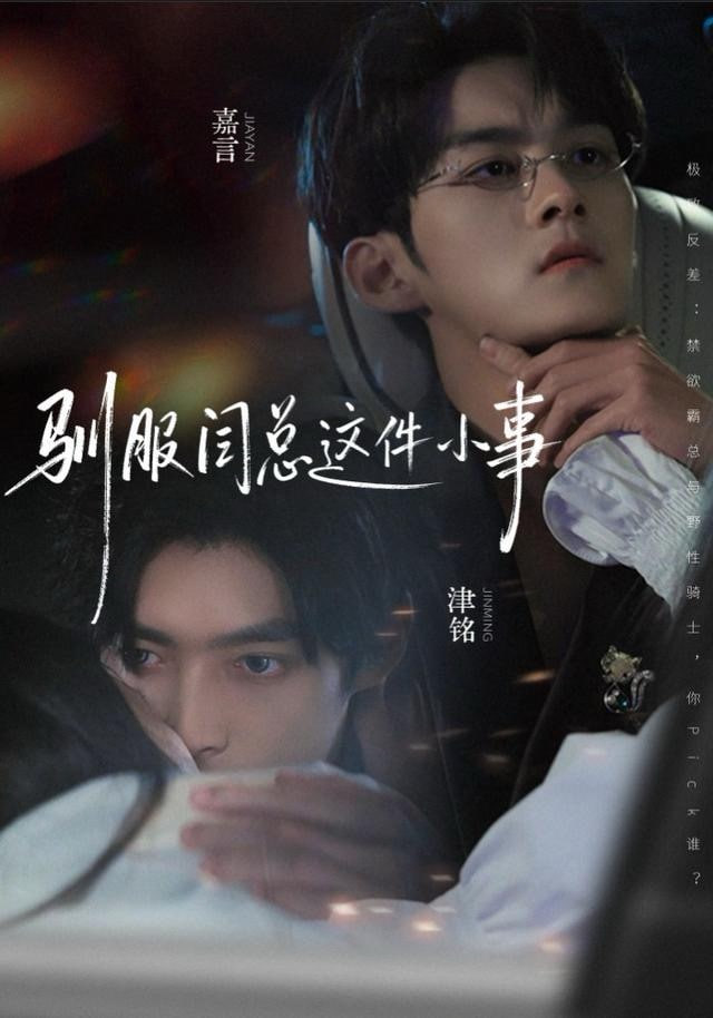 驯服闫总这件小事封面