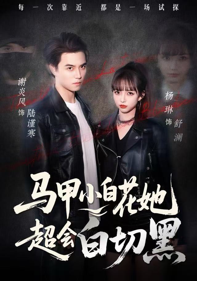 马甲小白花她超会白切黑封面