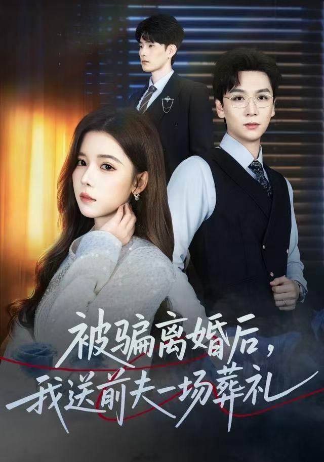 风是扫空阶旧忆尘（被骗离婚后，我送前夫一场葬礼）封面