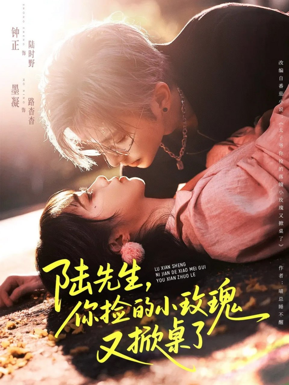 陆先生，你捡的小玫瑰又掀桌了封面