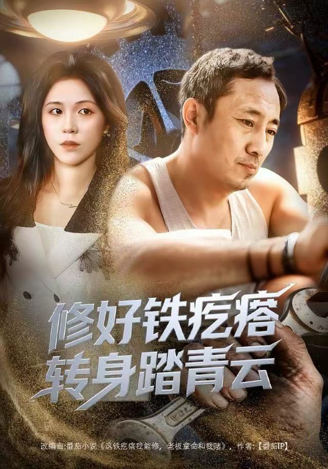 修好铁疙瘩转身踏青云封面