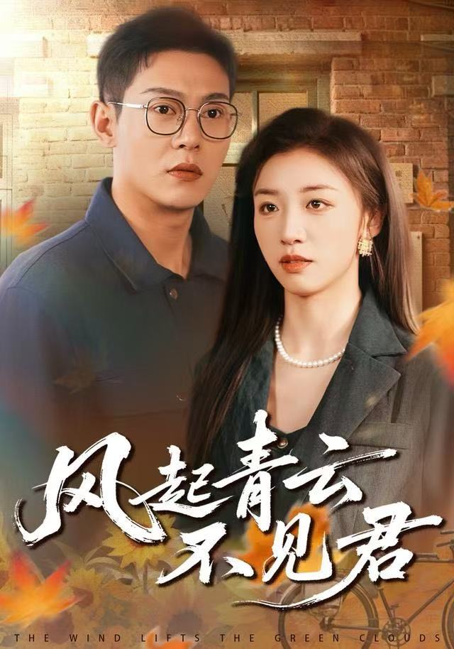 风起青云不见君封面