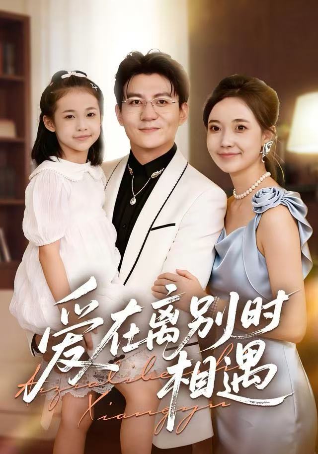 爱在离别时相遇封面