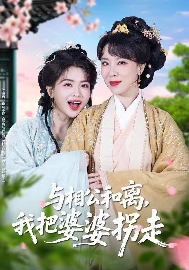 与相公和离，我把婆婆拐走封面