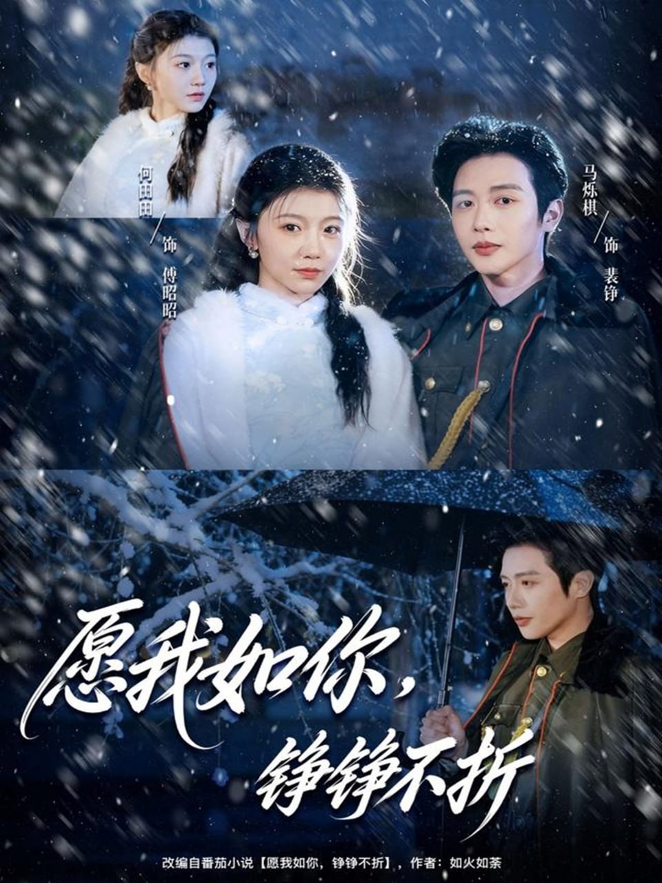 愿我如你，铮铮不折封面